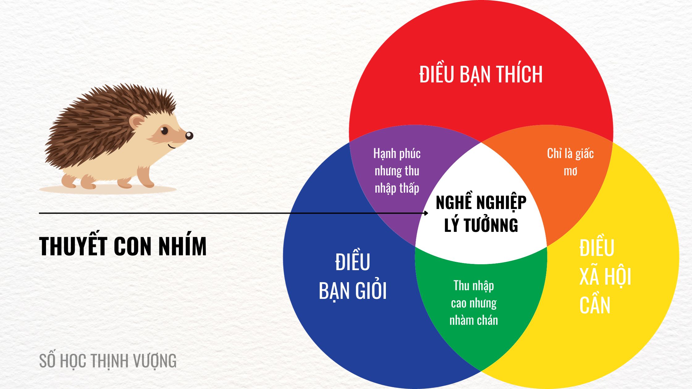 Thuyết Con Nhím: Bí Mật Đằng Sau Sự Thành Công Của Bạn, TEAM SỐ HỌC THỊNH VƯỢNG